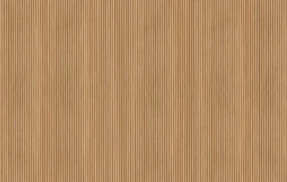 m5.webp